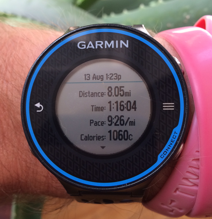 Garmin
